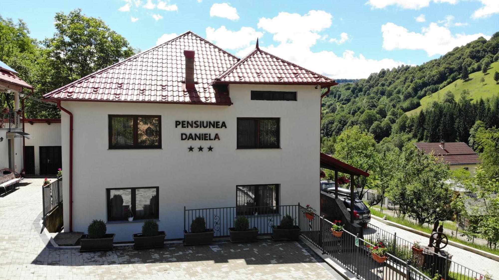 Pensiunea Daniela Moisei Exterior foto